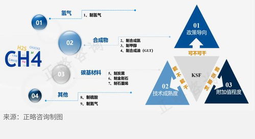 天然氣深加工行業(yè)細分領域發(fā)展前景淺析及旅游開發(fā)項目策劃咨詢